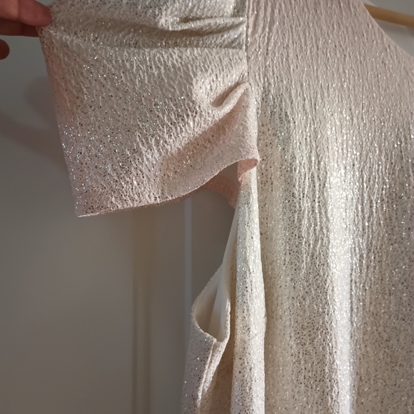 Lane Bryant Sparkle Dress. Size 24 - Picture 6 of 13